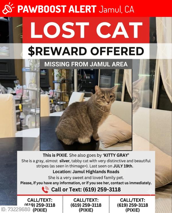 Lost Female Cat last seen Jamul, Jamul, CA 91935