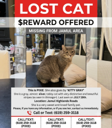 Lost Female Cat last seen Jamul, Jamul, CA 91935