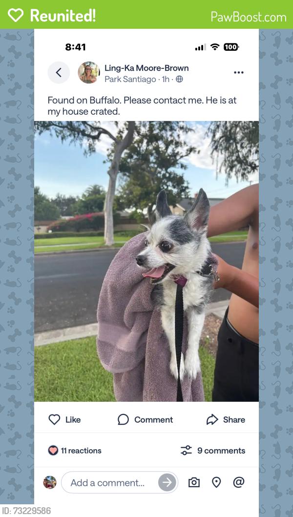 Reunited Male Dog last seen Buffalo /Fairhaven, Santa Ana, CA 92705