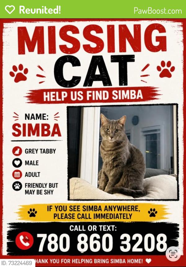 Reunited Male Cat last seen Near Anton link sw, Edmonton, AB T6W 3T7
