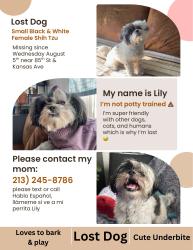 Reunited Female Dog last seen 85th St & Kansas Ave, Los Angeles, CA 90044
