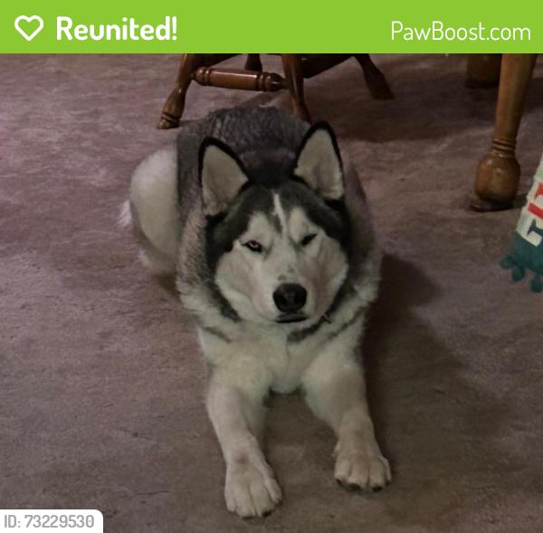 Reunited Male Dog last seen Windy Hill Ln, Fort Worth, TX 76108