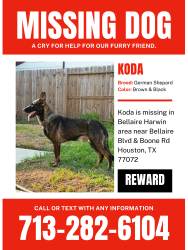 Lost Male Dog last seen Bellaire Blvd & Boone Rd, Houston, TX 77072