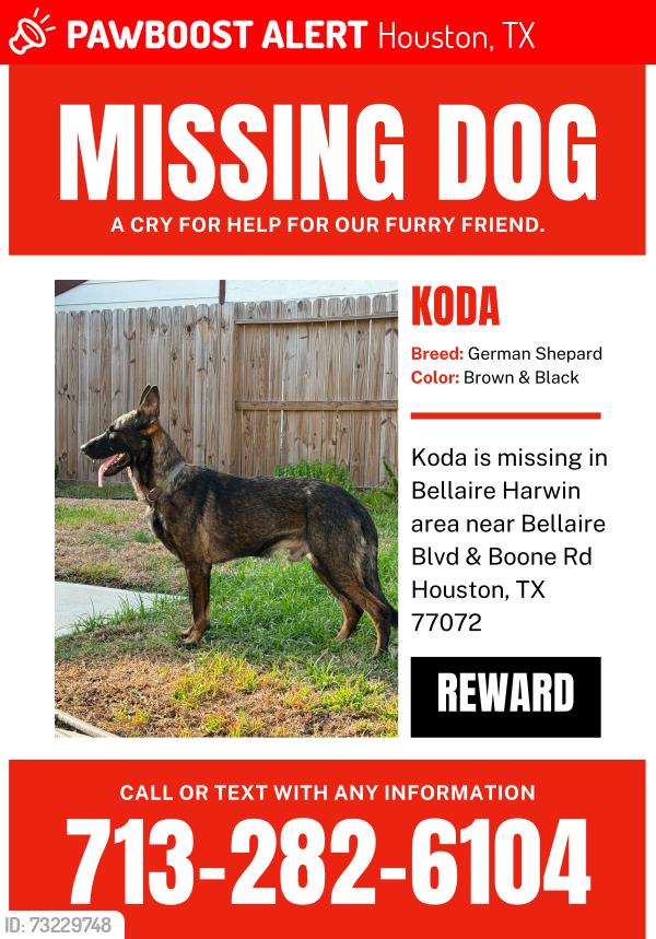 Lost Male Dog last seen Bellaire Blvd & Boone Rd, Houston, TX 77072