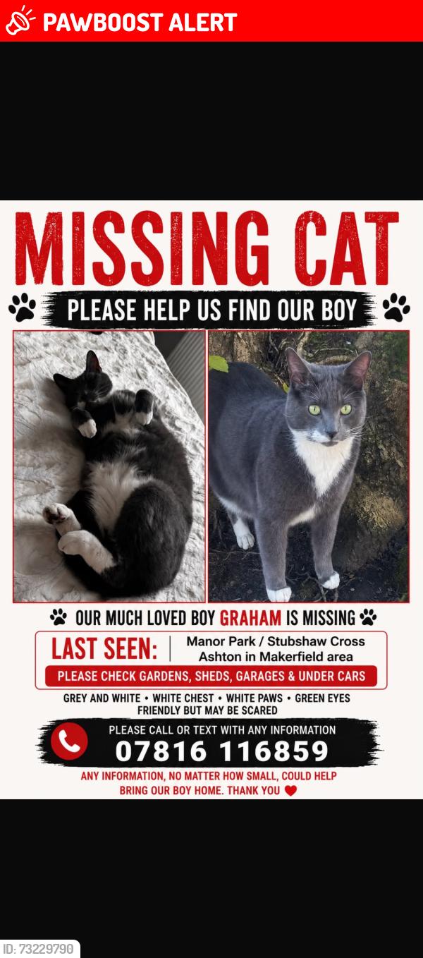 Lost Male Cat last seen Golborne rd/ Bolton Road, Ashton-in-Makerfield, England 