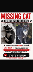 Lost Male Cat last seen Golborne rd/ Bolton Road, Ashton-in-Makerfield, England 