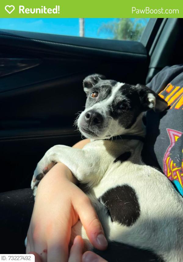 Reunited Unknown Dog last seen Harrison & Whispering Hills EASTVALE CA, Eastvale, CA 92880