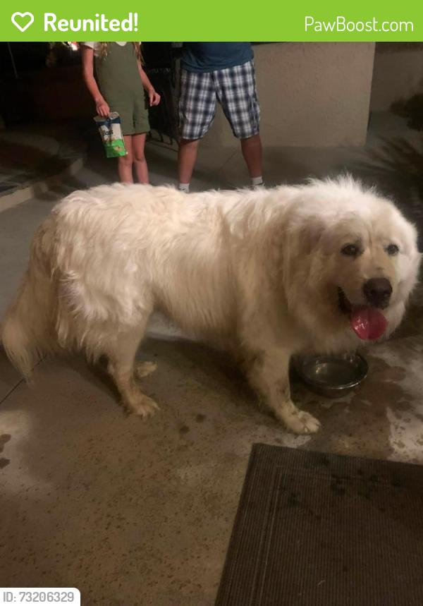 Reunited Unknown Dog last seen Eucalyptus & Paseo Grande CHINO HILLS CA, Chino Hills, CA 91709