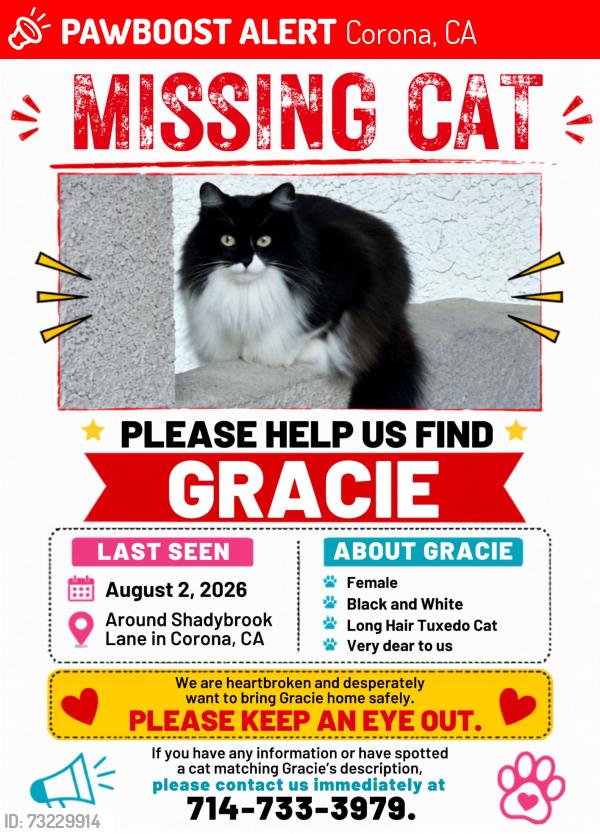 Lost Female Cat last seen Close to walmart/ across promenade park, Corona, CA 92879