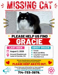 Lost Female Cat last seen Close to walmart/ across promenade park, Corona, CA 92879