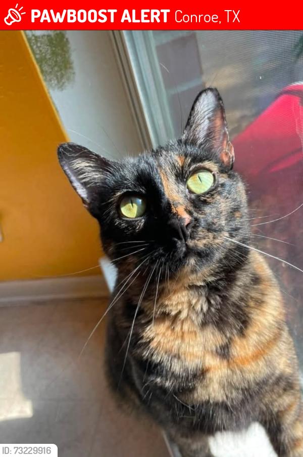 Lost Female Cat last seen ests Section in Imperial Oaks Subdivision, Conroe, TX 77385