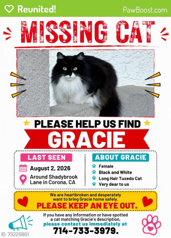 Reunited Female Cat last seen Across walmart store,, Corona, CA 92879
