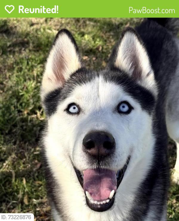 Reunited Male Dog last seen Near Souder St, Perris, CA 92570, USA, Perris, CA 92570
