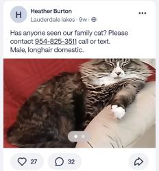 Lost Male Cat last seen Near, Oakland Park, FL 33309
