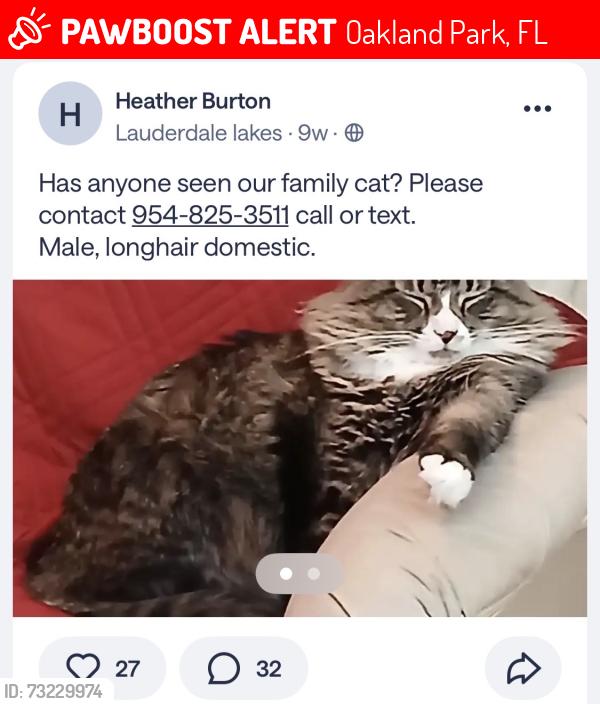 Lost Male Cat last seen Near, Oakland Park, FL 33309