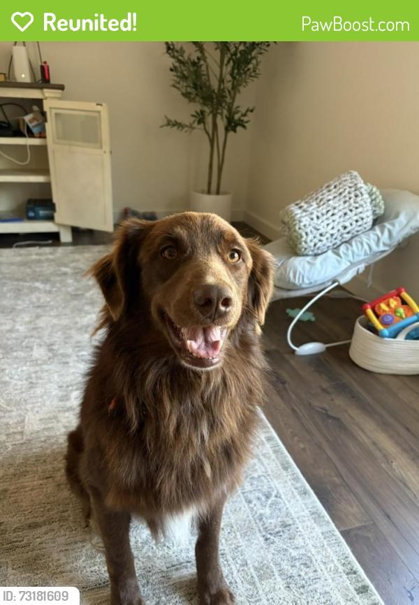 Reunited Male Dog last seen Near block of Benton Pike, Cleveland, TN 37364