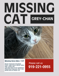 Lost Female Cat last seen Hart circle, Goldsboro, NC 27530