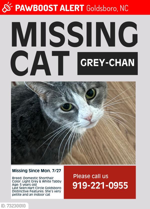 Lost Female Cat last seen Hart circle, Goldsboro, NC 27530