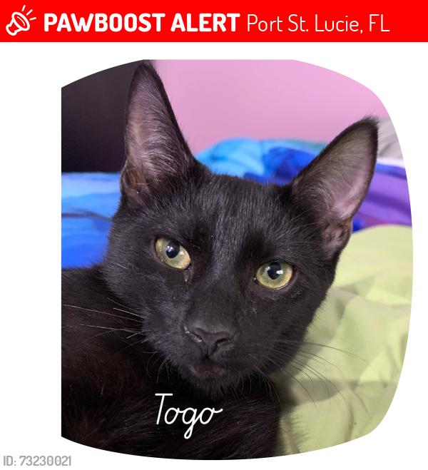 Lost Male Cat last seen River”s Edge, Port St. Lucie, FL 34952