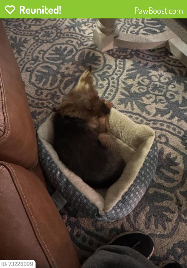 Reunited Male Dog last seen Charlotte Hwy and Autumn Grove, Mooresville, NC 28115