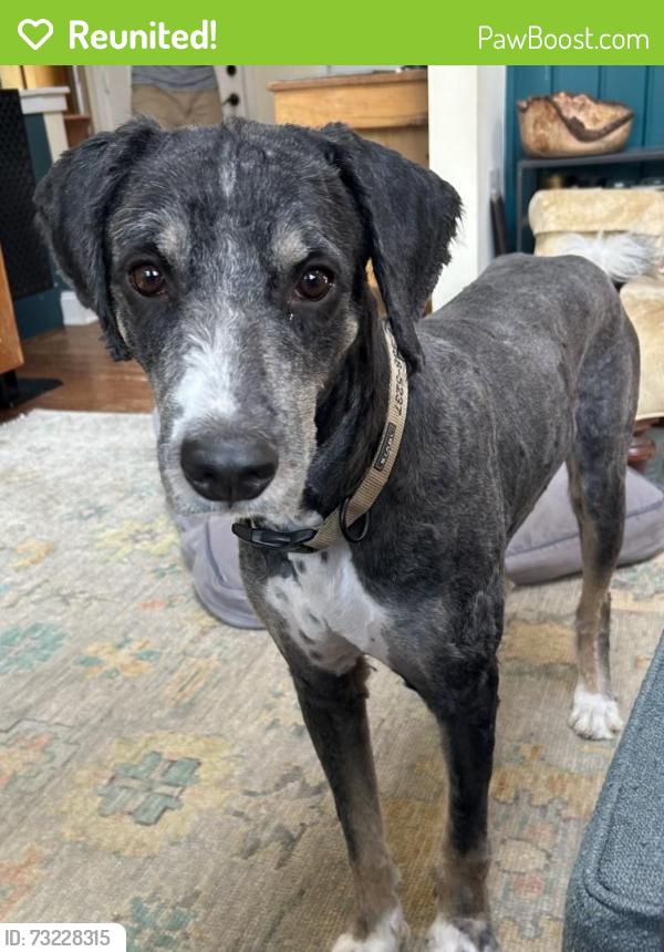 Reunited Male Dog last seen Southridge Drive Neighborhood near Marshall Bridge Road, Kennett Square PA, Kennett Square, PA 19348