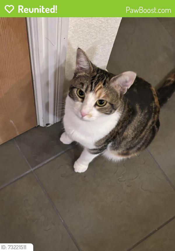 Reunited Female Cat last seen Oak st, Chico, CA 95928