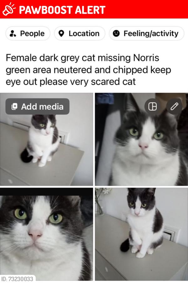 Lost Female Cat last seen Utting avenue, Merseyside, England 