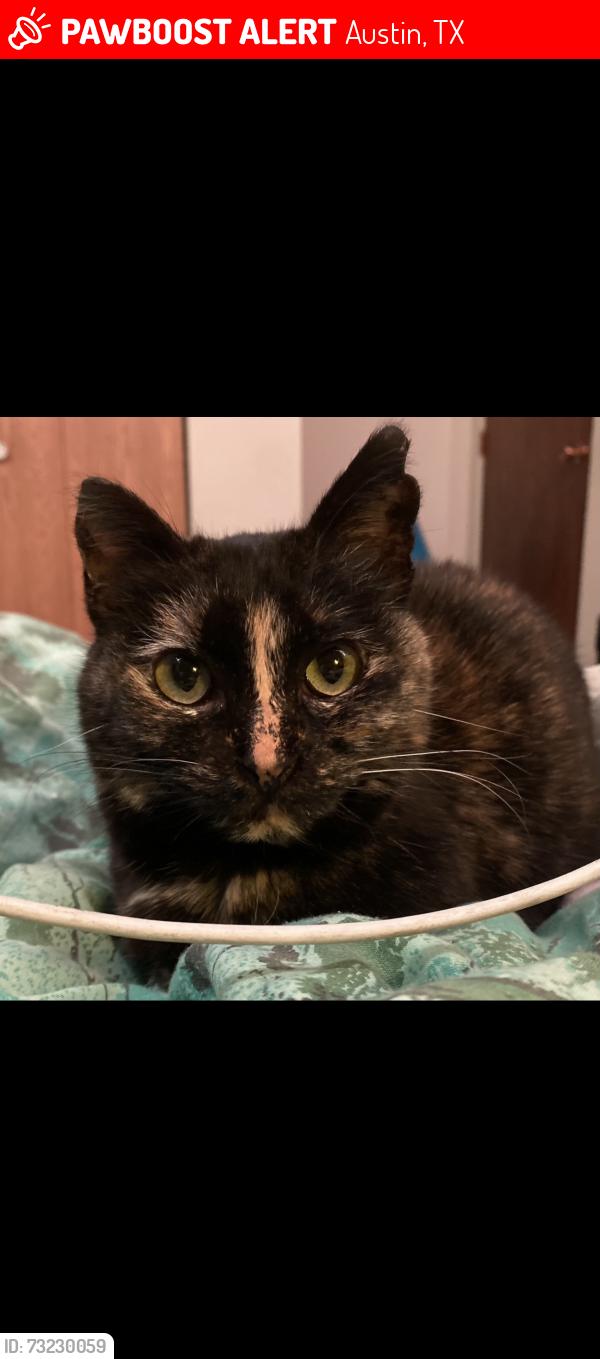 Lost Female Cat last seen Senders Mesa Neighborhood, Austin, TX 78749