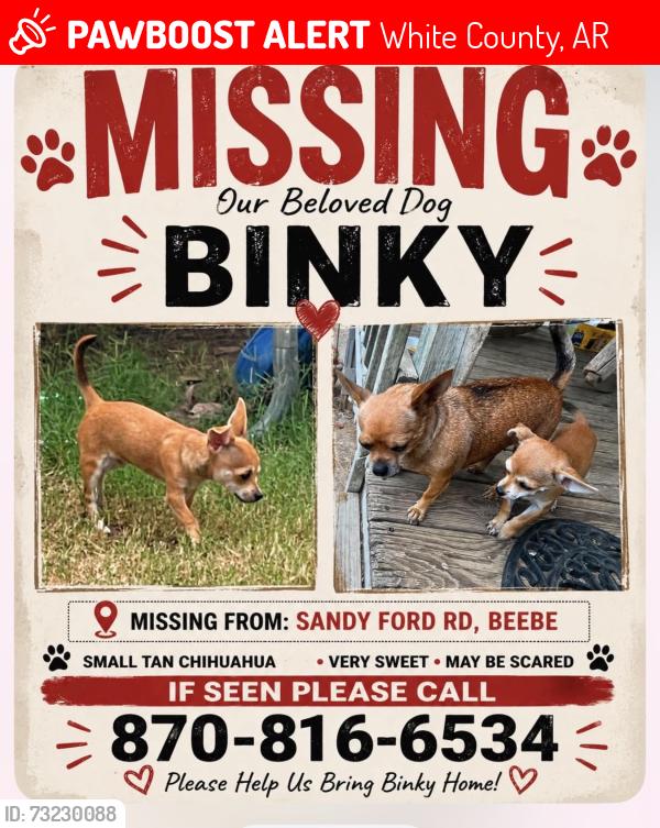 Lost Female Dog last seen Sandyford in Antioch, White County, AR 72045