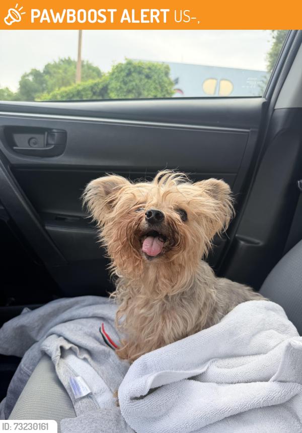 Found/Stray Male Dog last seen 22nd Ave. and US 1, US-1,  23803