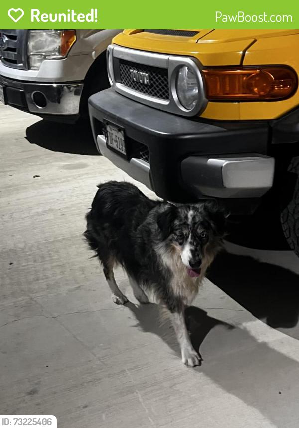 Reunited Unknown Dog last seen Near Glenewinkel Rd, Seguin, TX 78155