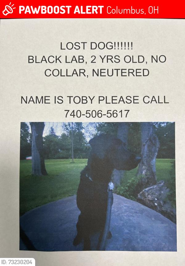 Lost Female Dog last seen Sunbury rd and Thames, Columbus, OH 43219