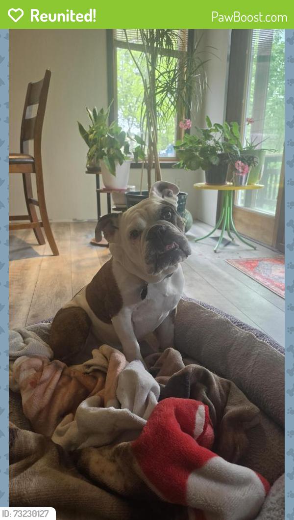Reunited Male Dog last seen Near Skyview Dr, Rapid City, SD 57702