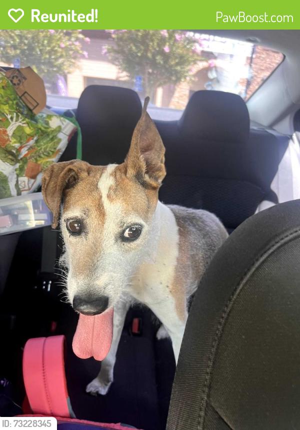 Reunited Male Dog last seen Long Canyon Rd. Fair Oaks, Fair Oaks, CA 95628