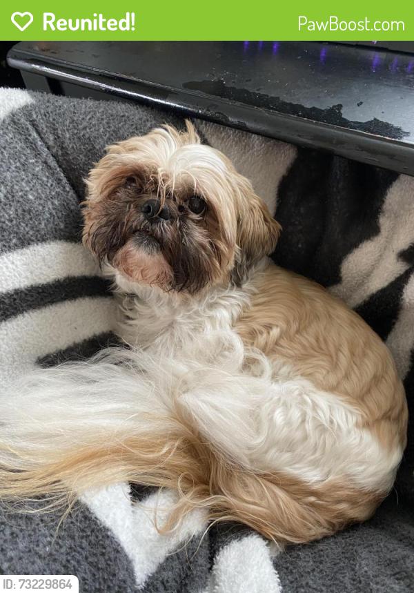 Reunited Male Dog last seen Secnic and Scoville, Grants Pass, OR 97526
