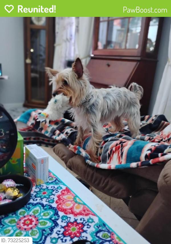 Reunited Female Dog last seen Pembroke, San Antonio, TX 78240