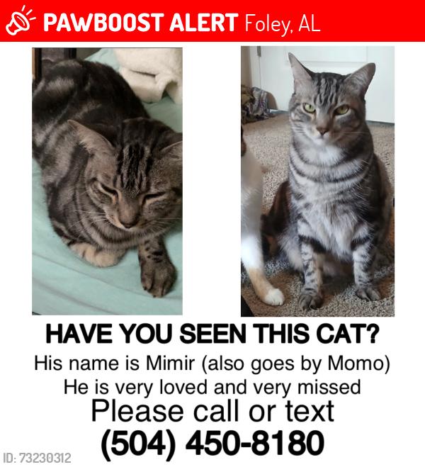 Lost Male Cat last seen At the Outpost Orchard subdivision in foley, Foley, AL 36535