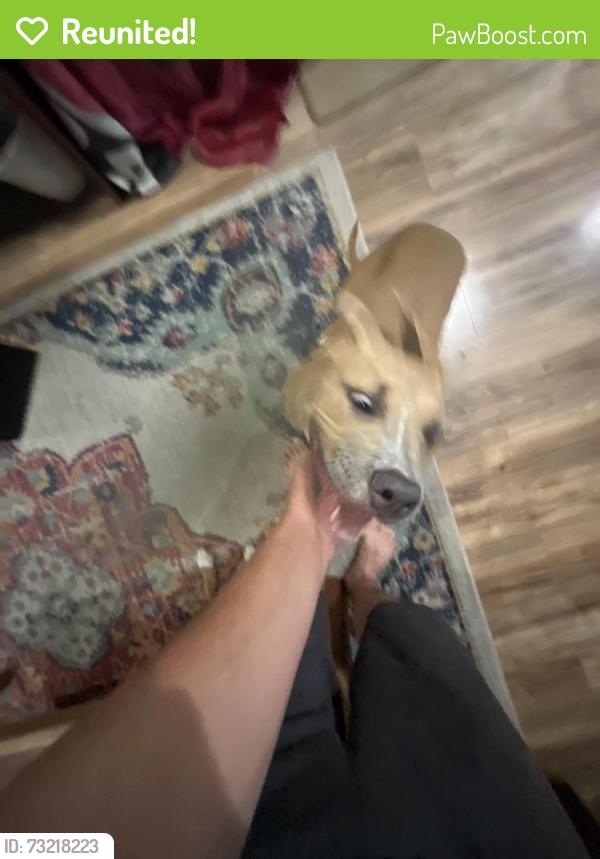 Reunited Female Dog last seen George English Park, Fort Lauderdale, FL 33305