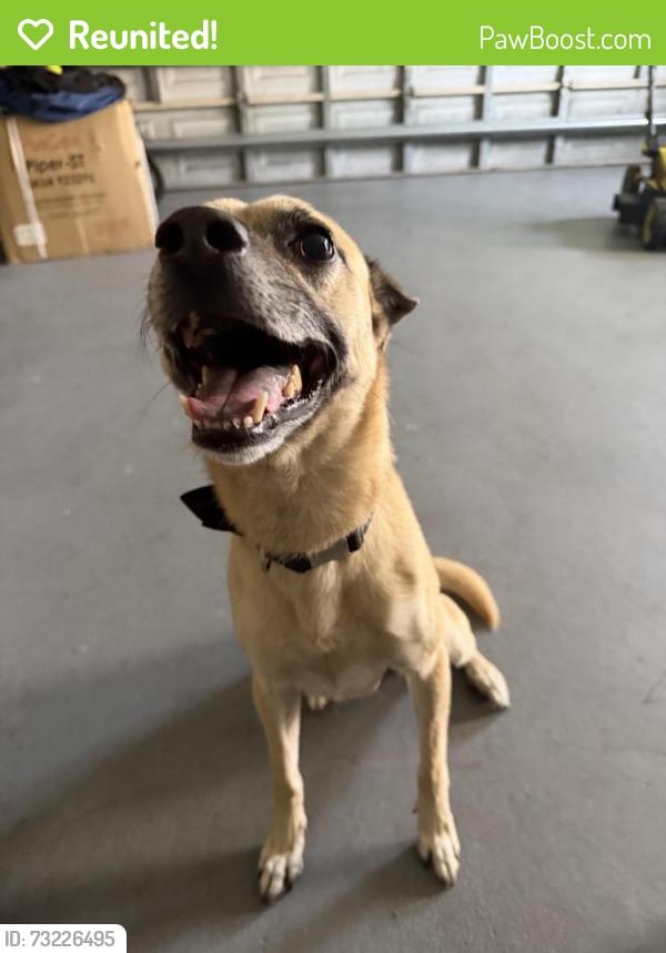 Reunited Male Dog last seen In front of wolk park, Lauderhill, FL 33313