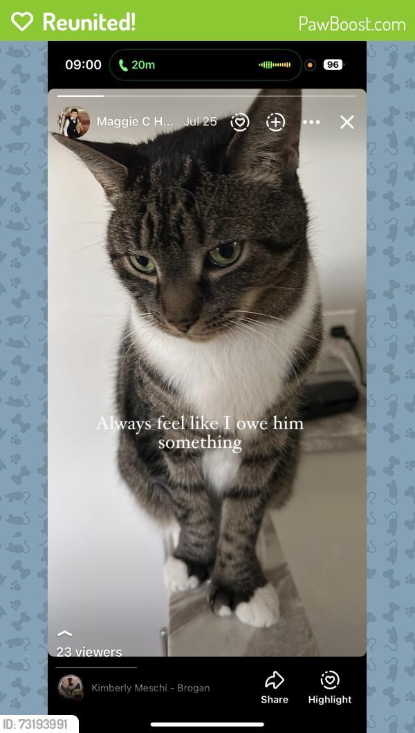 Reunited Male Cat last seen Brigham Circle, Honeoye Falls, NY 14472