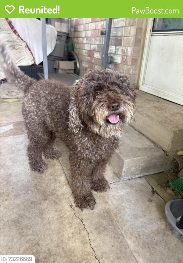 Reunited Male Dog last seen Near Lakemist st, San Antonio, TX 78222