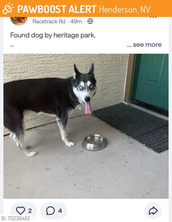 Found/Stray Male Dog last seen Heritage Park, Henderson, NV 89015
