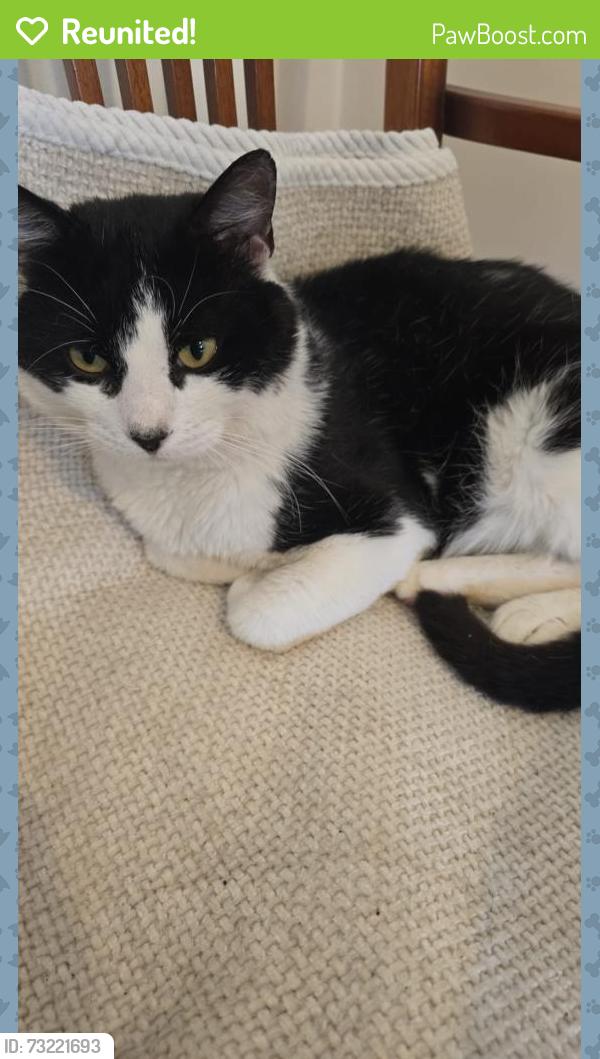 Reunited Male Cat last seen Marden Crescent / Marden Road, Greater London, England 