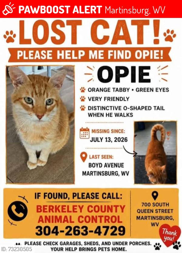 Lost Male Cat last seen Boyd Avenue & West Race Street, Martinsburg, WV 25401