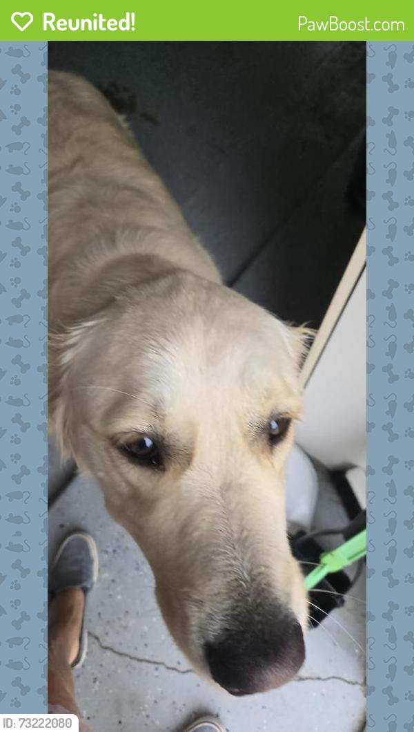 Reunited Male Dog last seen Ganado and PVD easr, Rancho Palos Verdes, CA 90275