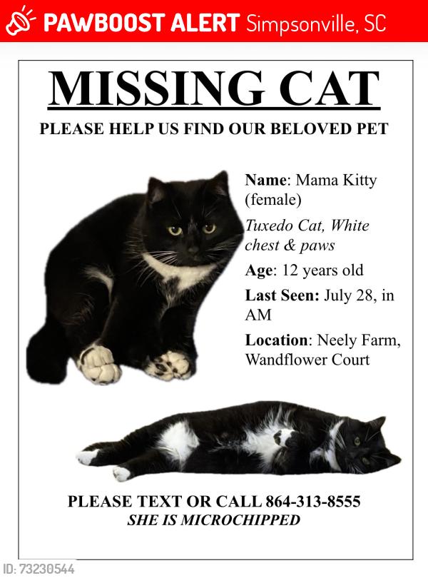 Lost Female Cat last seen Neely Farm, Simpsonville, SC 29680