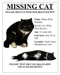 Lost Female Cat last seen Neely Farm, Simpsonville, SC 29680