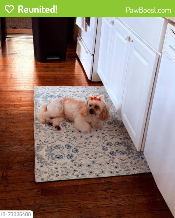 Reunited Female Dog last seen LEON DAY PARK, Baltimore, MD 21216