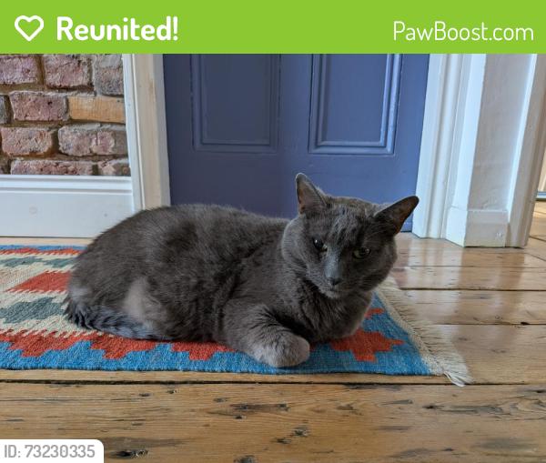 Reunited Male Cat last seen Central Avenue, Levenshulme, England 
