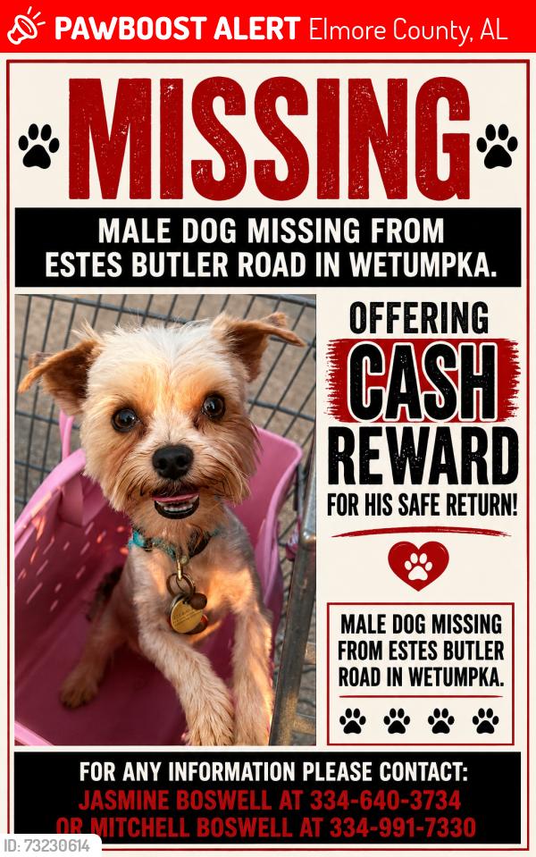 Lost Male Dog last seen Estes Butler Road, Elmore County, AL 36092